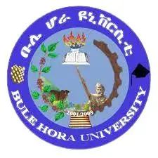 Bule Hora University